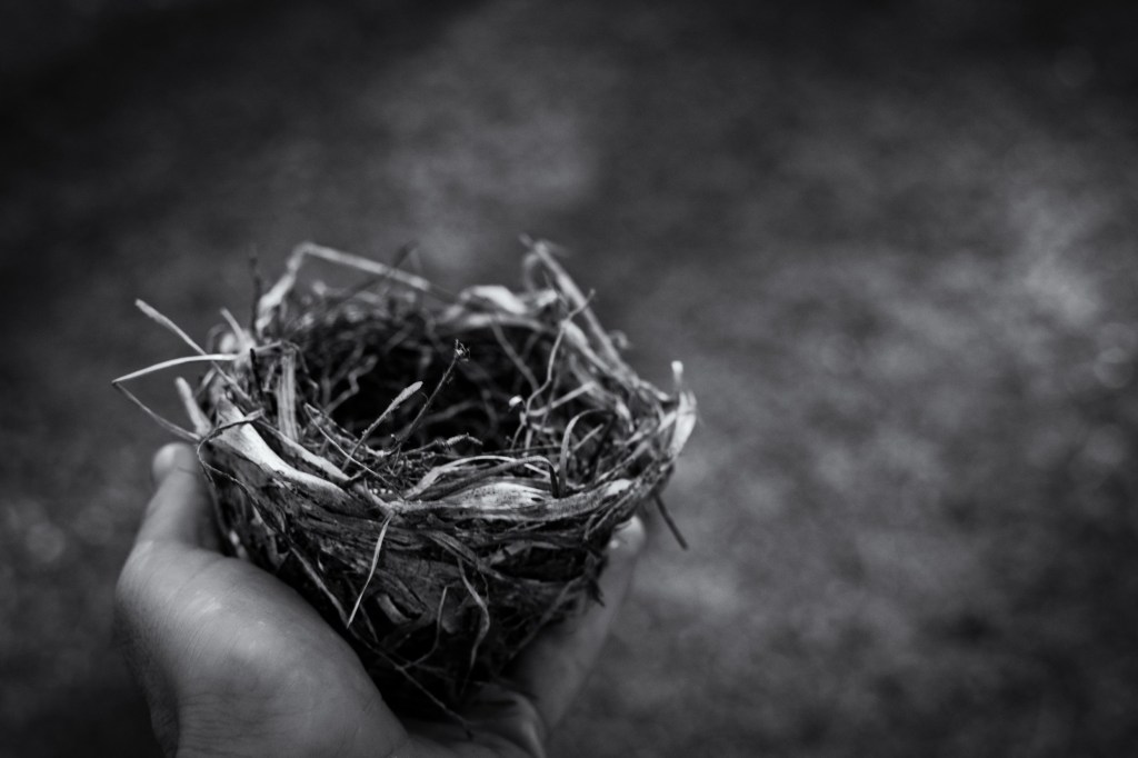 The emptiness of an empty nest